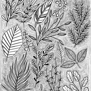 Meet your Posher, Annie